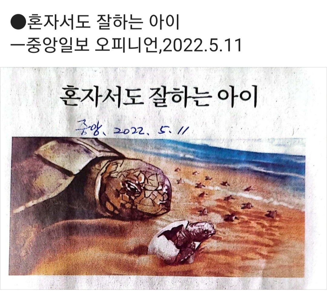 /user/k/kccca/editor/2311/187523ef453c1ddb5e779d851f67a206_1700309793_4109.jpg 이미지크게보기