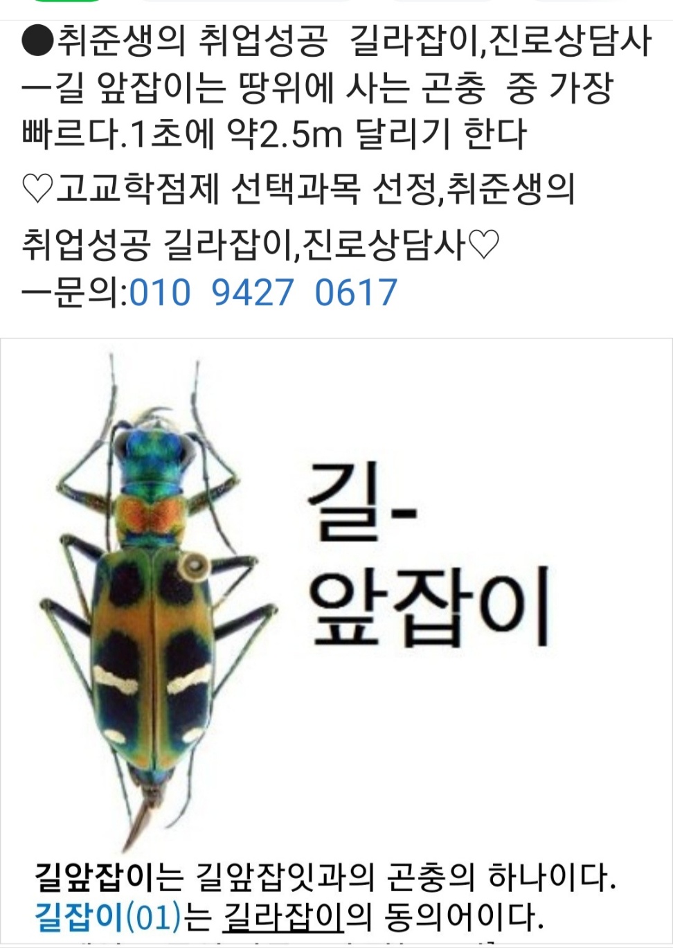 /user/k/kccca/editor/2311/187523ef453c1ddb5e779d851f67a206_1700310683_1579.jpg 이미지크게보기